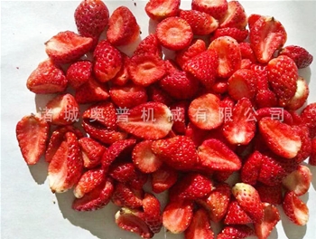 Strawberry dry vacuum fryer